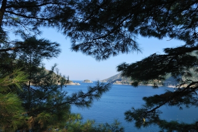 photo 813117