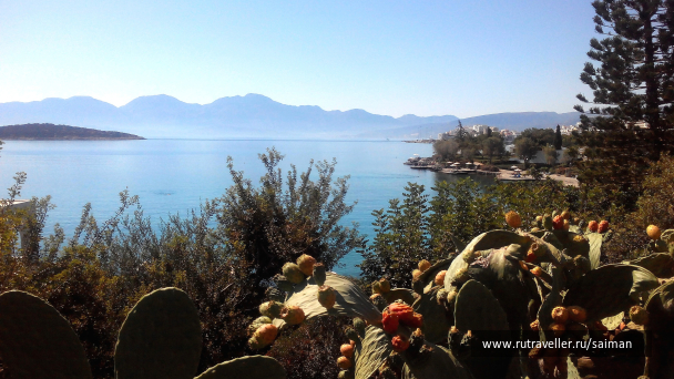 photo 1401577