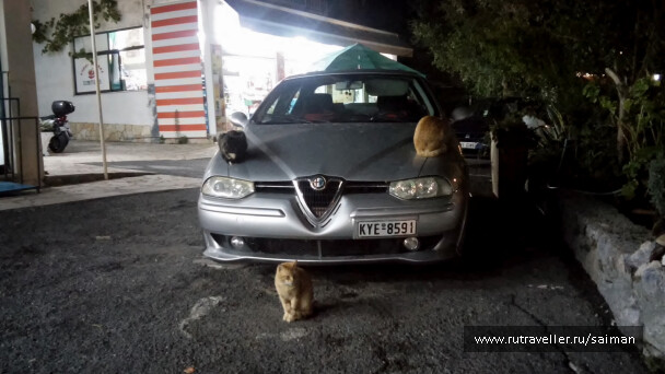 photo 1542344