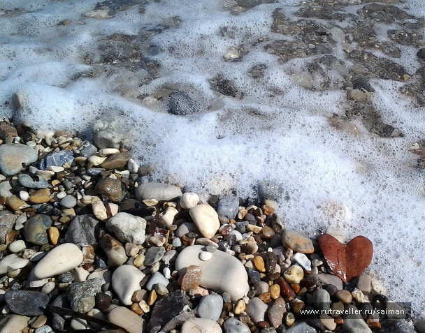 photo 1561843