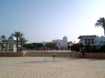 photo 1643954