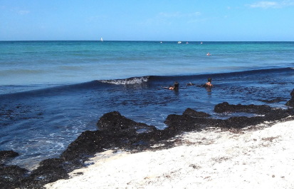 photo 1644120