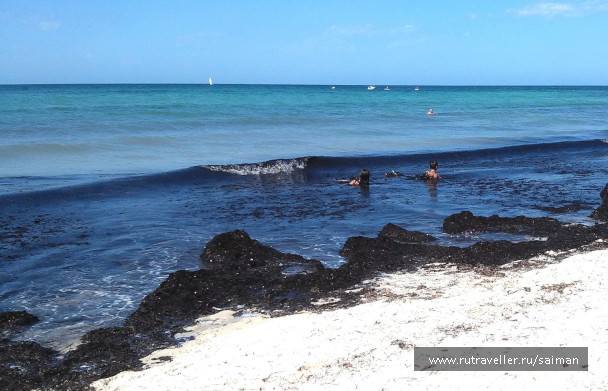 photo 1644120