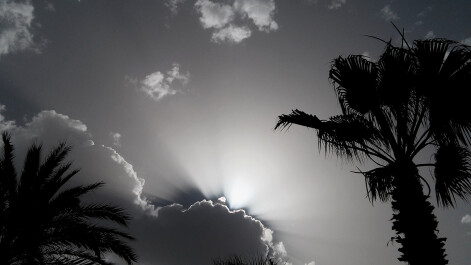 photo 1644333