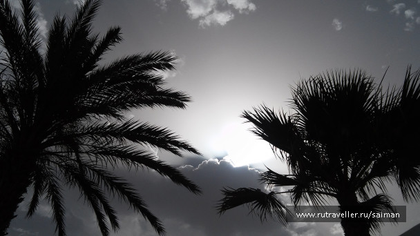 photo 1698488