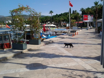 photo 1776315