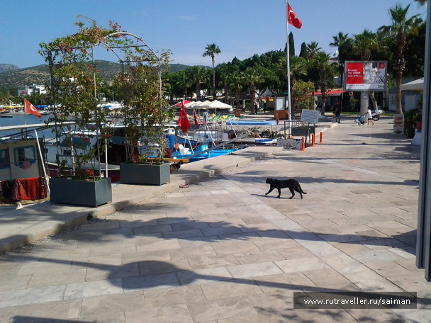 photo 1776315