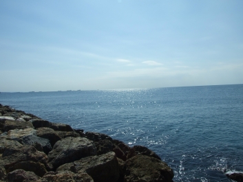 photo 902852