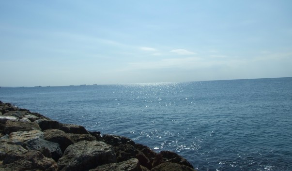 2011_07010420