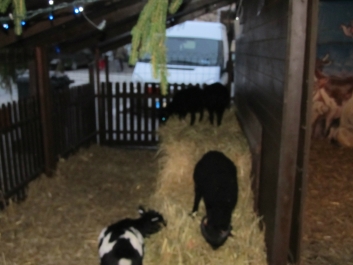 photo 934123
