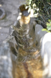 photo 944710