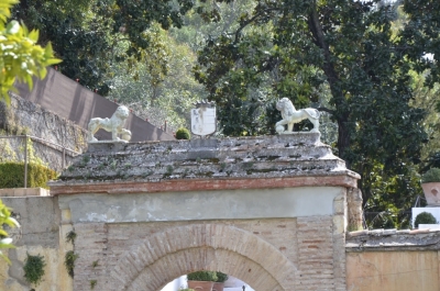 photo 944715