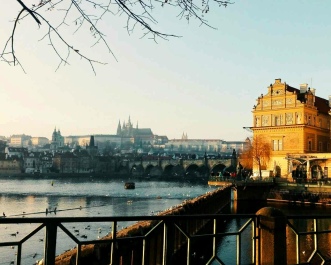photo 1447645