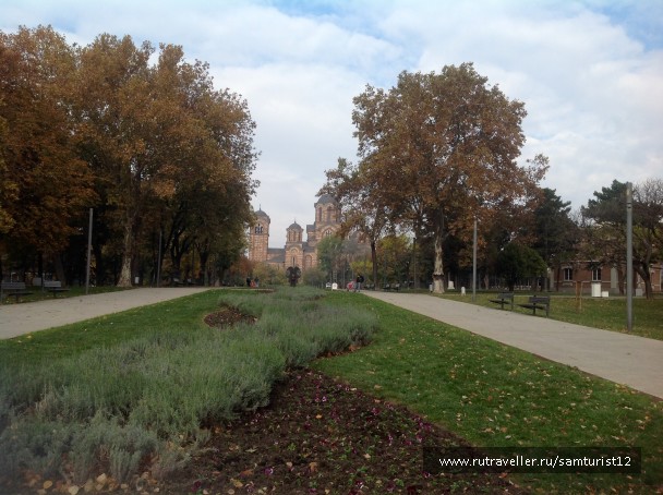 photo 1399425