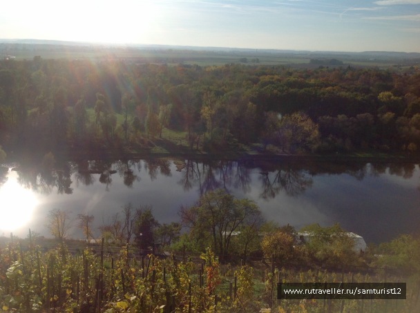 photo 1402282