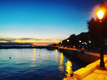 photo 1655979