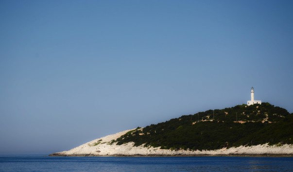 DSC_1415