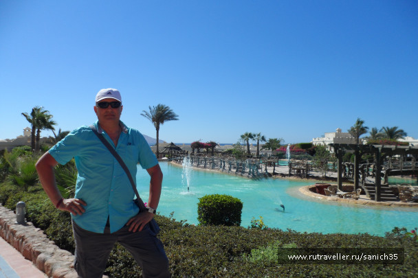 photo 1406012
