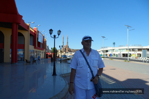 photo 1406029