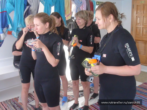 photo 1406040