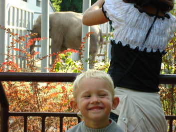 photo 297761