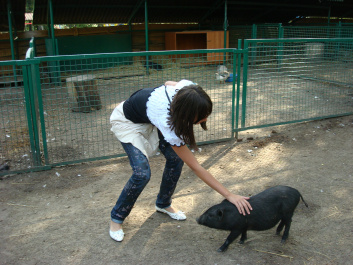 photo 297764