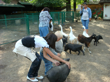 photo 297765