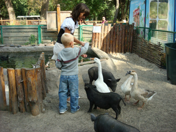 photo 297771