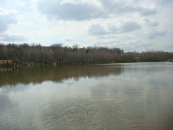 photo 297692