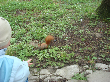 photo 297700