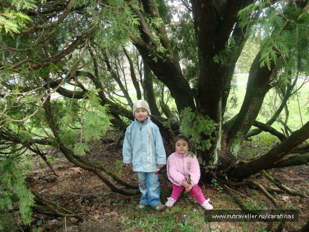 photo 297701