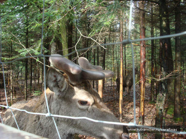 photo 297712
