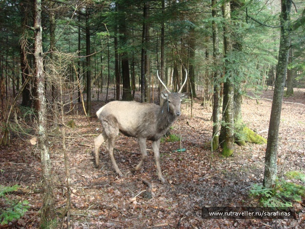 photo 297713