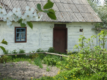 photo 357059