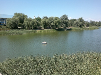 photo 302707