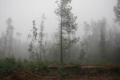 photo 590756