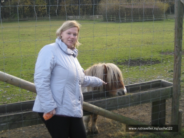 photo 499695