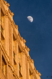 photo 288378