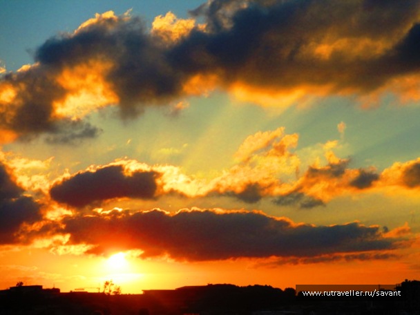 photo 1515341