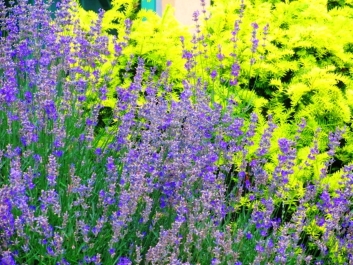 photo 822740