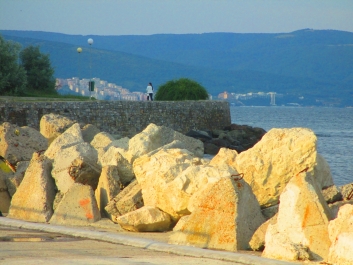 photo 896584