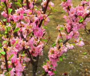 photo 678427