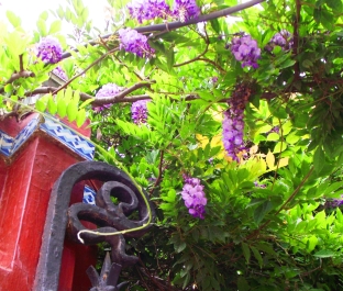 photo 614616