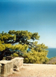 photo 1220755