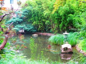 photo 1127808