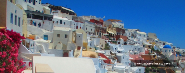 photo 1369778