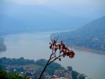 photo 1274495