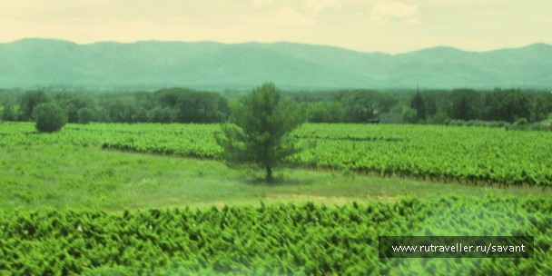 photo 1412785