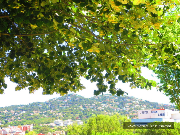 photo 1504653