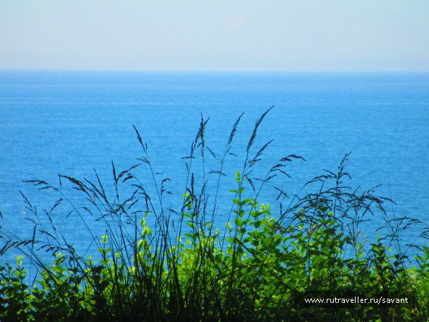 photo 1648691